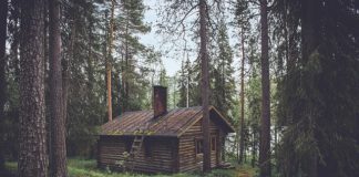 Wynajem maszyn i urządzeń