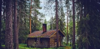 Domy jednorodzinne i ich zalety