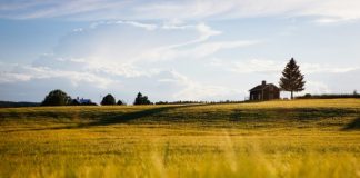 Wciąż spadają ceny domów w USA