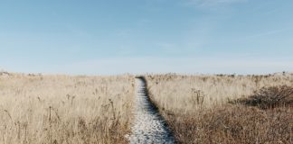 Pływające po rzekach i morzach hotele