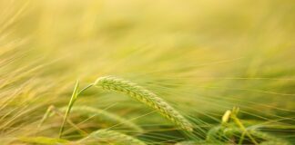 Jak przyciąć wkład do szuflady?