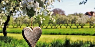 Kiedy maluje się drzewka?