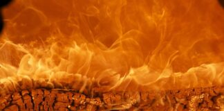 Co to za marka Kenwood?