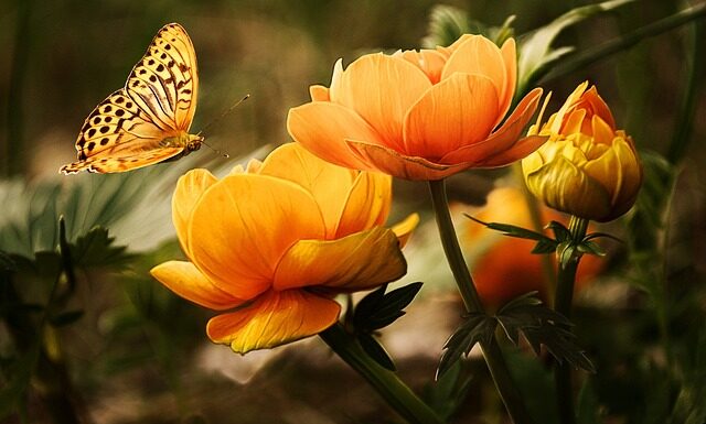 Jakie zwierzę obgryza tuje?