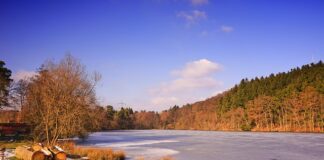 Przy jakiej temperaturze zamarza WD 40?