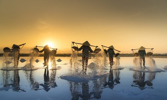 Czy sól niszczy korzenie?