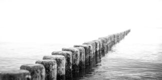 Czy SDS trzeba smarować?