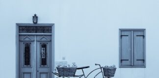 Kiedy przycinać drzewa jabłoni?