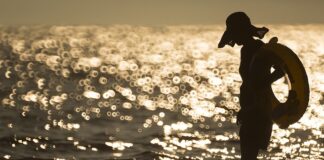 Jakiego koloru boją się sarny?