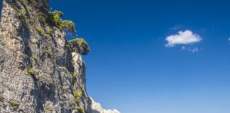 Ile kosztuje snorkel?