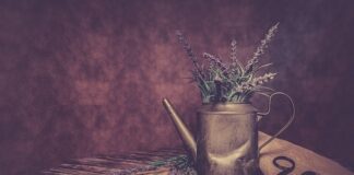 Jaką smarownicę kupić?