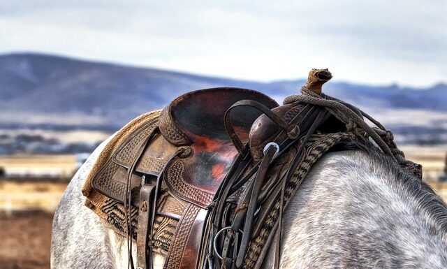 Dlaczego siodło musi być smarowane?