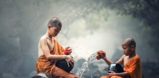 Co jest dobre do czyszczenia dywanów?