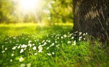 Jak usunąć białe plamy z czarnego zlewu granitowego?