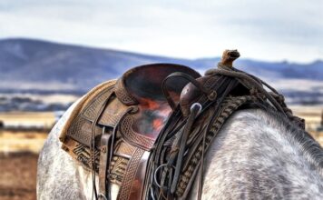 Czy siodło teflonowe się smaruje?