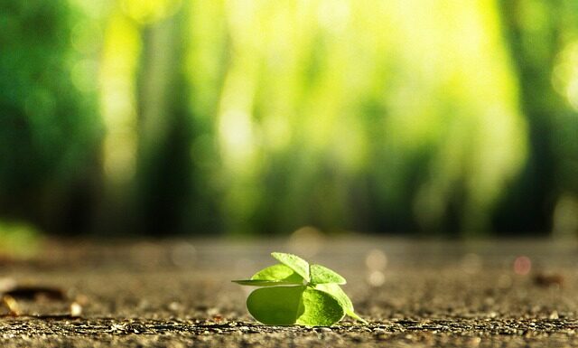 Jak zrobić własny segregator?