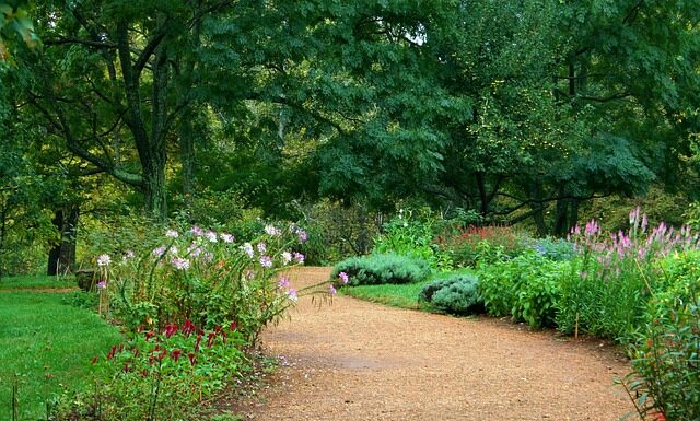 Co lepsze dla świnki morskiej trociny czy żwirek?