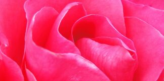 Jak usunąć zacieki na zlewie?