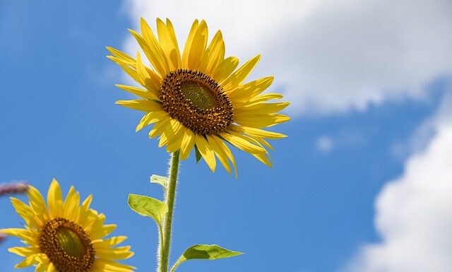 W jakim wieku dziecko śpi w swoim pokoju?