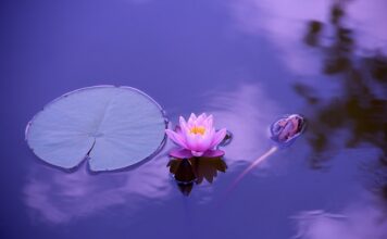 Gdzie można pływać skuterem wodnym w Wielkopolsce?