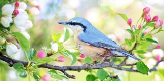 Co do siedzenia na mały balkon?
