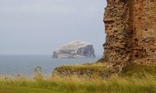 Jak wzmocnić bass w samochodzie?