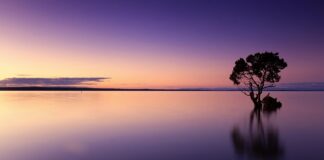 Ile mech pochłania wody?