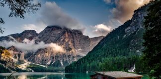 Czy świnka musi mieć domek?