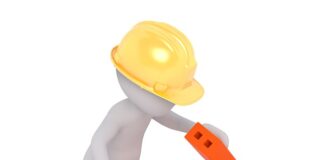 Jak zabezpieczyć brzozę po obcięciu gałęzi?