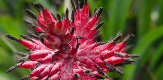 Czy wazelina uszczelnia?