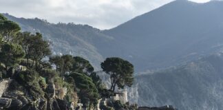 Ile kosztuje Skoda Enyaq?