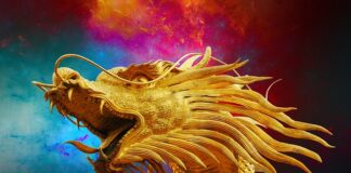 Gdzie znajduje się Smok oleju?