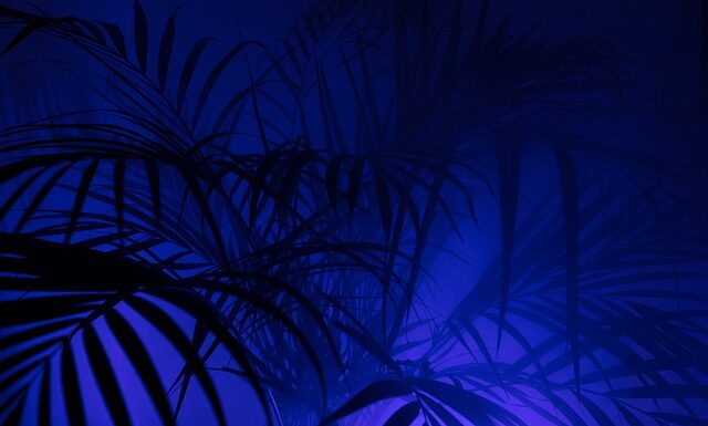 Czy na P można dodawać gazu?