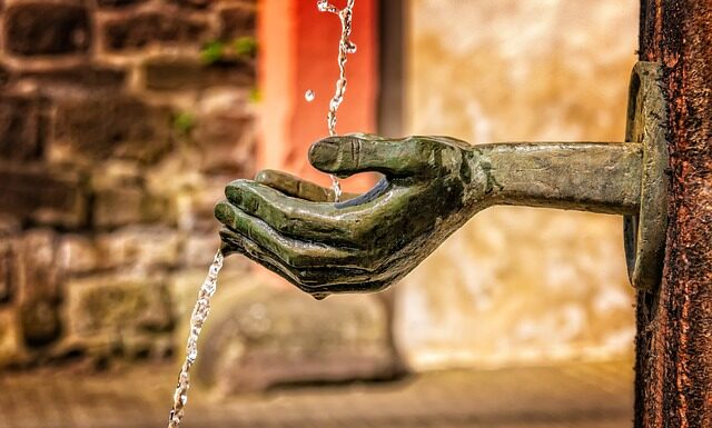 Jak często trzeba czyścić klatkę świnki morskiej?