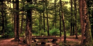 Jak samemu zrobić lustro z szyby?