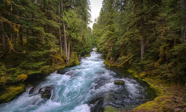 Jaki smar do centralnego smarowania?