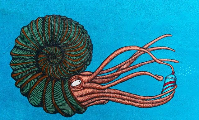 Czy syfon jest potrzebny?