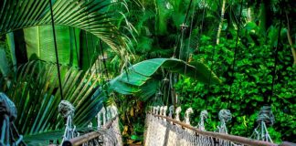 Ile trwa kurs na skuter wodny?