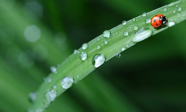 Ile potrzeba materiału na pościel 160x200?