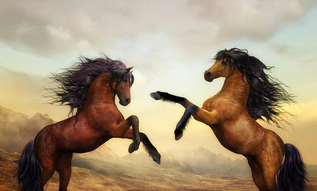 Dlaczego maść końska piecze?