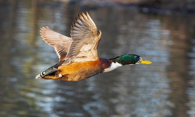 Jak zmieścić wszystko w małej kuchni?